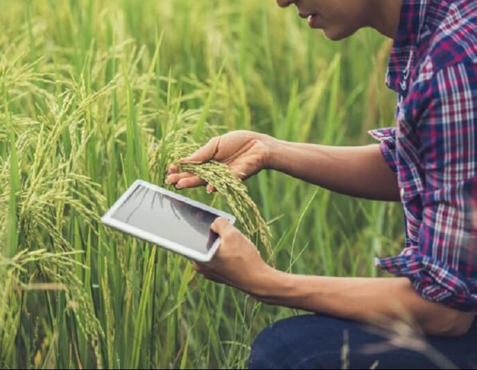 انتخاب موضوع پایان نامه مهندسی کشاورزی